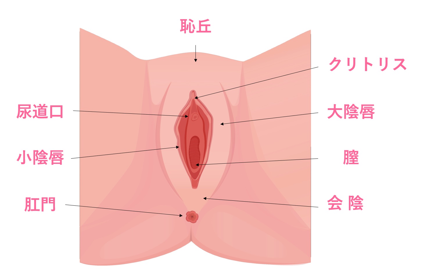 デリケートゾーンがきれいってどういうこと？ – 港区、品川区の産婦人科で妊婦健診・産後ケア・避妊相談なら│海老根ウィメンズクリニック