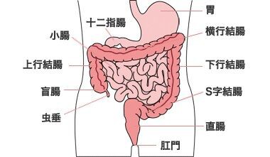 結腸責め 小説一覧 |