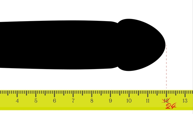 ペニス・チンコの正確な長さ・太さの測り方【図解】 | イケオジの嗜み