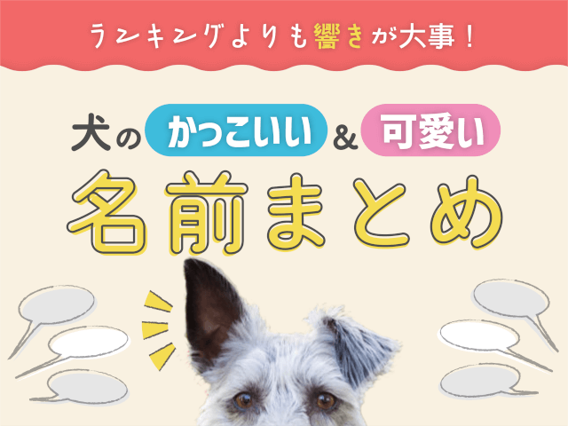 名前が性格をつくる！“語感”名づけのススメ。-おむつのムーニー 公式 ユニ・チャーム