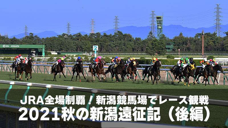 2024 新潟2歳S 予想（新潟）】レースセンス抜群の3億円馬・スターウェーブ◎ | ウーエー競馬