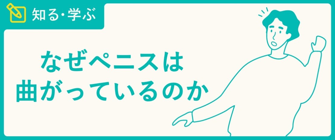 陰茎湾曲症の原因と手術について | 男性不妊治療は銀座リプロ外科