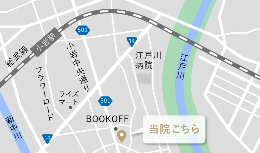 なぜ小岩はこれほど「カオス」な街になったのか？日本人の「遠すぎる街」だからこそ外国人の「はじまりの街」として 異国飯は東京の下町で｜教養｜婦人公論.jp