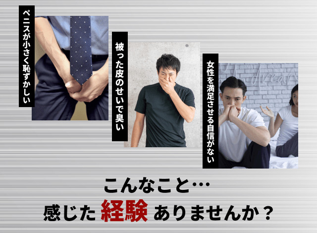 医師監修】ペニスの構造とその役割とは？個人差は？ | メンズライフクリニック【公式】