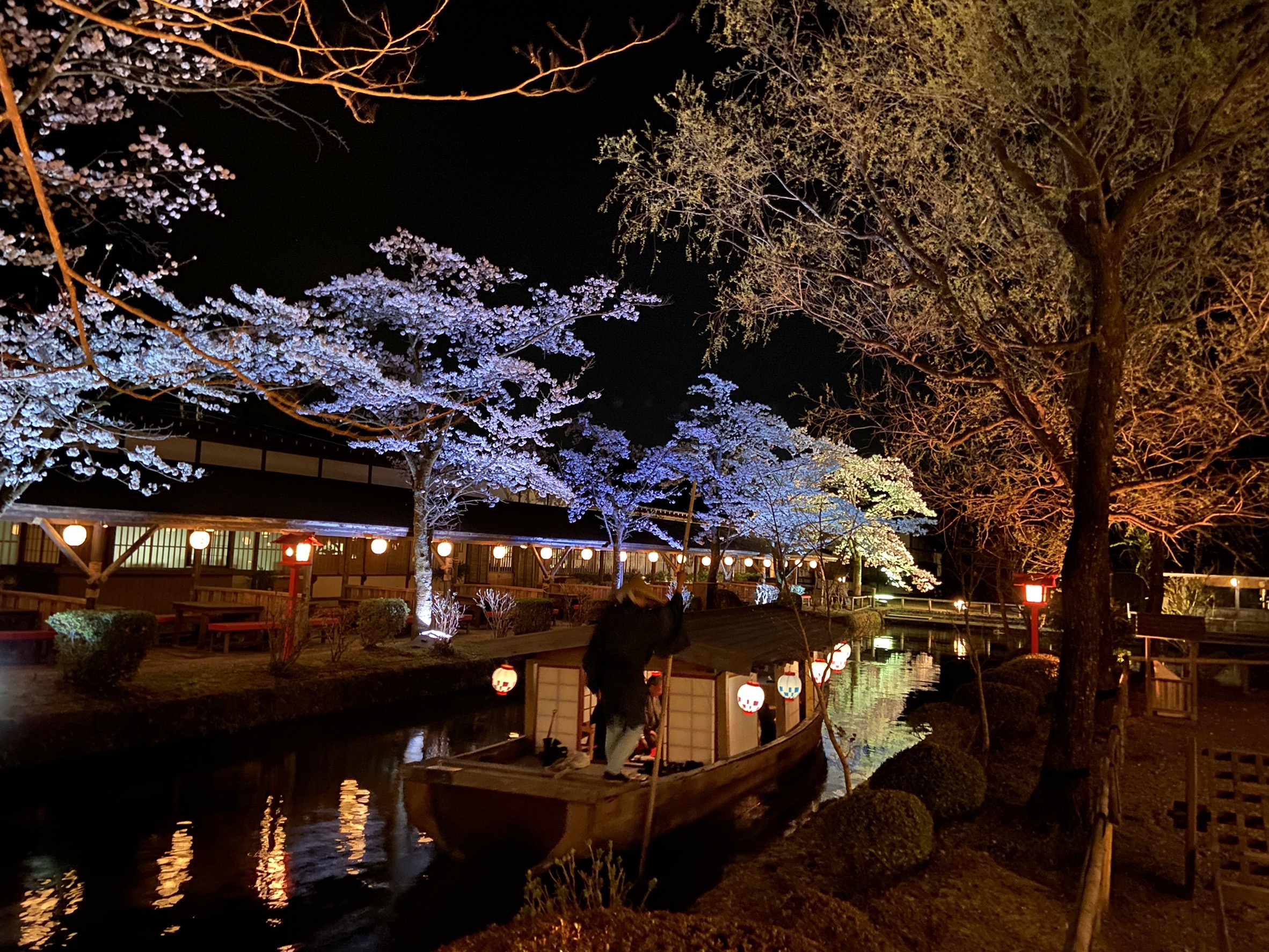 ☆明治手摺木版画【梅堂国政筆 色競廊夜桜】花魁道中○美人画浮世絵三枚組(美人画)｜売買されたオークション情報、Yahoo!オークション(旧ヤフオク!)  の商品情報をアーカイブ公開 -