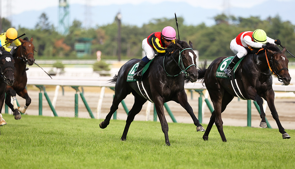 新潟2歳S】4戦続けて好走中！土曜の新潟の芝傾向から浮上した魅惑の1頭 | 競馬ニュース |