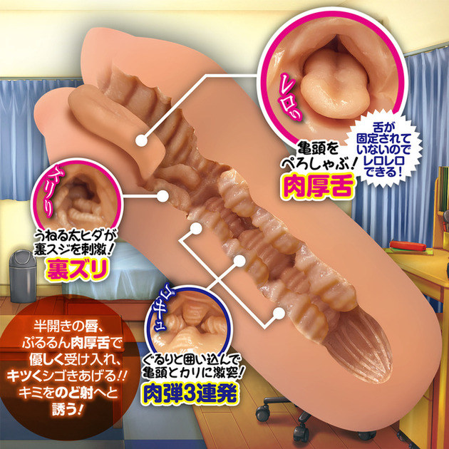 2/2） | かめの