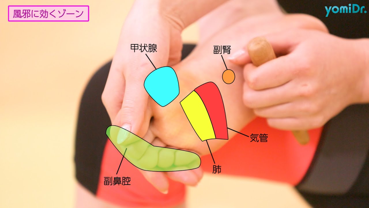 夏風邪の予防には「大椎」のツボ。 ドライヤーの温風をこのツボにあてれば「お灸」の効果も |