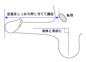 日本人男性の陰茎サイズは世界平均より｢2cm｣長い…性欲旺盛な日本人がセックスレスに陥りやすい根本原因 7割近くが女性とのセックスに自信がない | 