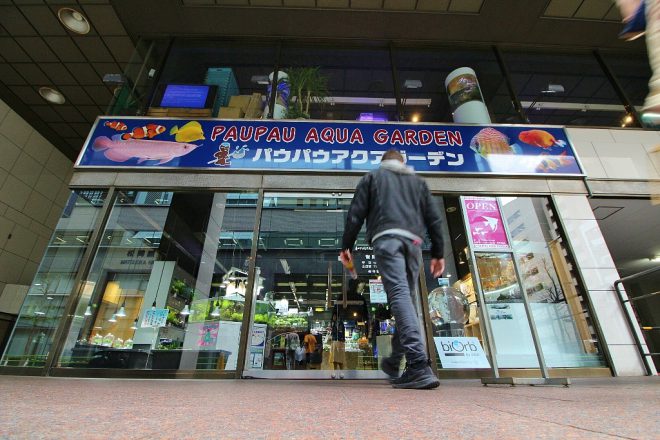 新橋駅前ビル1号館の行列ラーメン店 | グラッチェ菊池のイタリアからCiao！