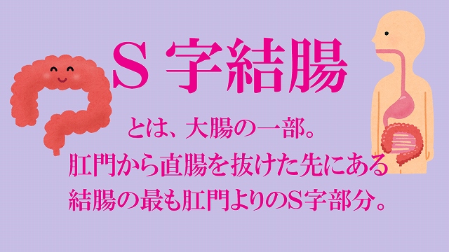 お父さんの黒歴史] わんわんお父さん3 | ゆるワンコお父さんに犬コス強要！S字結腸までハメ倒し！