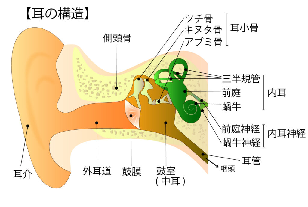 単純に耳の掃除をしてくれるだけじゃない」 漫画「耳かき専門店で働いてみたハナシ。」が読むだけで気持ちいい（1/3 ページ） -