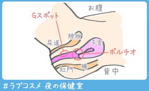 ポルチオ開発をする手段は？かかる時間はどれくらい？中イキしやすい体になるために知っておきたい基礎知識 – LOVE