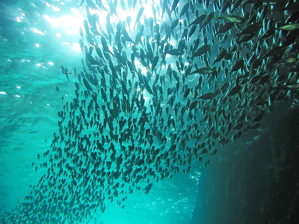 風俗嬢のための海綿使い方講座！生理中でも稼げるマル秘テクニックも！ | カセゲルコ｜風俗やパパ活で稼ぐなら