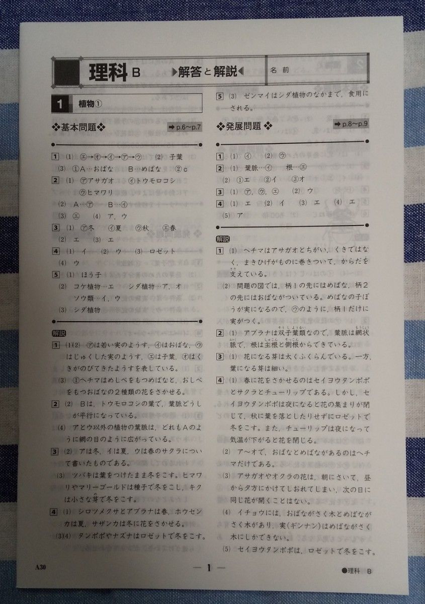 相模原市南区】4月30日に開催される第30回春の市2023 相模大野アートクラフト市にはどんなお店が出店？地元で活躍する作家さんを一部ご紹介します！  | 号外NET