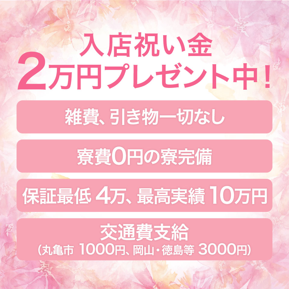 高級「生」食パン『乃が美』が丸亀にもオープン！ | 香川県で遊ぶ、香川県を知る。グルメ、イベント、観光、新店情報はタウン情報誌ナイスタウン