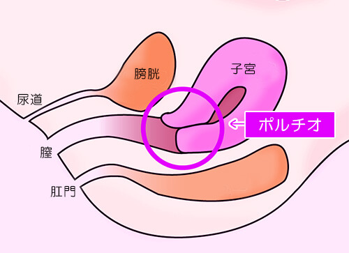 深イキとはどんな快感？浅イキとの違いやイカせ方などを徹底解説｜風じゃマガジン