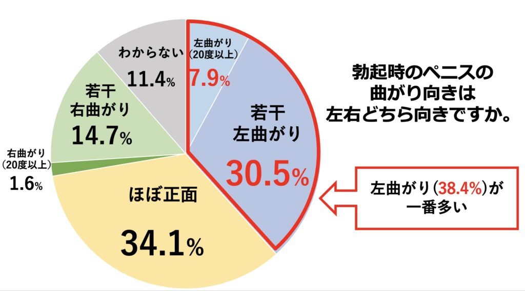 屈曲ペニスとは？曲がり方・原因・問題点・治し方を解説 | ザヘルプM