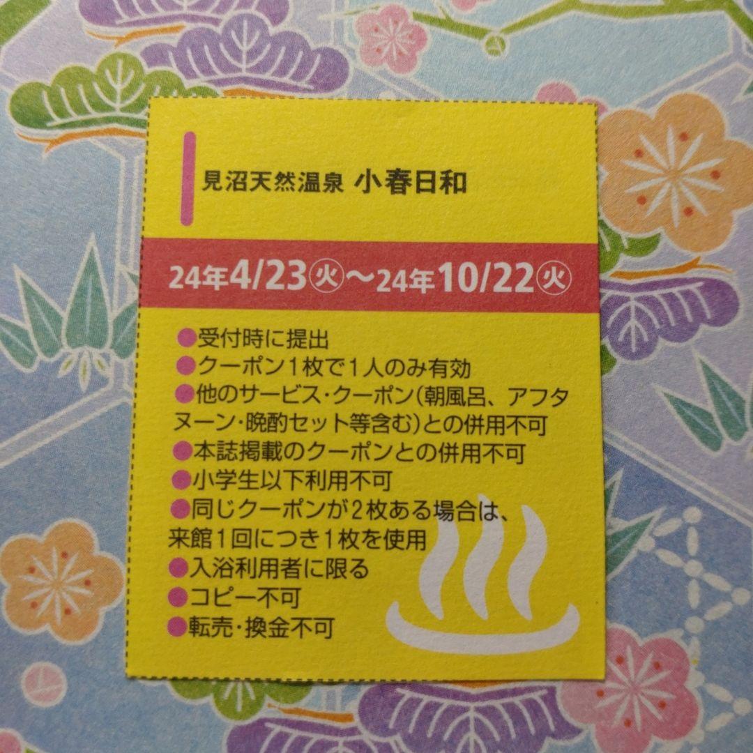 入館料割引クーポン】見沼天然温泉 小春日和（こはるびより） -