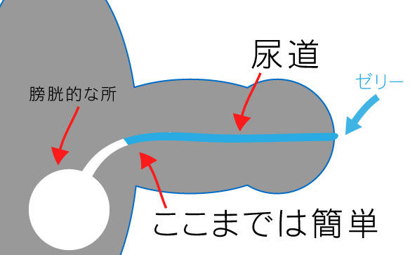 PAP-245 初めての外国人の巨大なデカチンの虜になる熟女たち 竹内梨恵 スマホでアダルトDVD探すなら、おいしんぼソフト