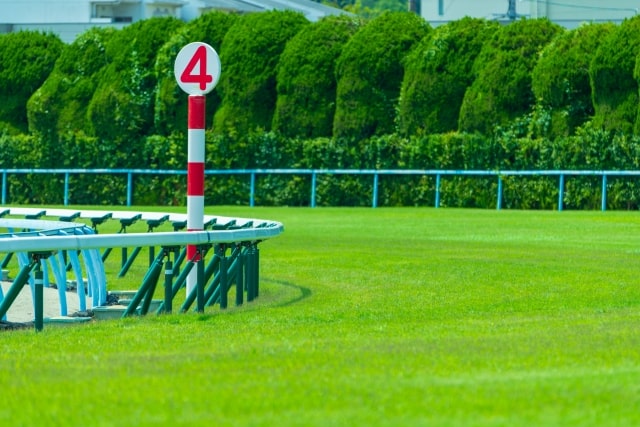 ミニバイクレースでいこう スピードパーク新潟第二戦 |