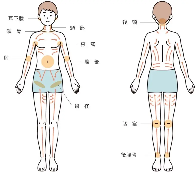 リンパマッサージ（リンパドレナージュ）の効果は？具体的なやり方や方法も紹介