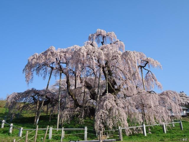 天然温泉極楽湯福島郡山店／ホームメイト