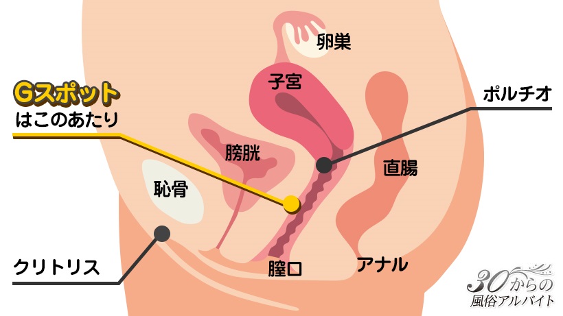 尿道炎 - いかど腎泌尿器科クリニック・松本市