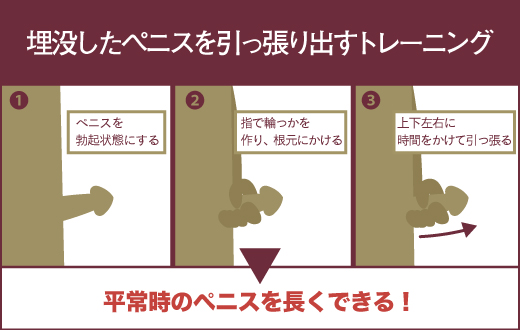 チントレはやっても意味がない⁉ペニスを効果的に強化する方法とは？ –メンズクリニック研究会-包茎