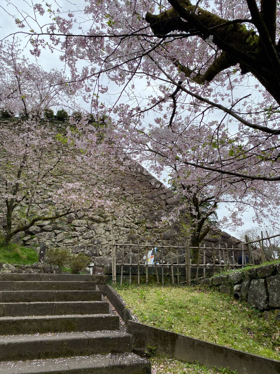 延岡植物園 | 観光スポット