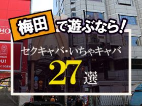 マリア】大阪ミナミでCA・モデル在籍の高級デリヘル風俗｜会員制