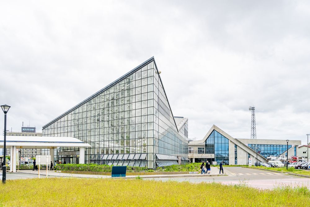 北限のオリーブ】宮城・石巻市で収穫始まる 「今年の高温・少雨はオリーブに好条件」（2023年10月9日掲載）｜ミヤテレNEWS NNN