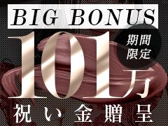 富山はソープが無い？本番できる裏風俗が存在するのか現地調査してみた | 珍宝の出会い系攻略と体験談ブログ