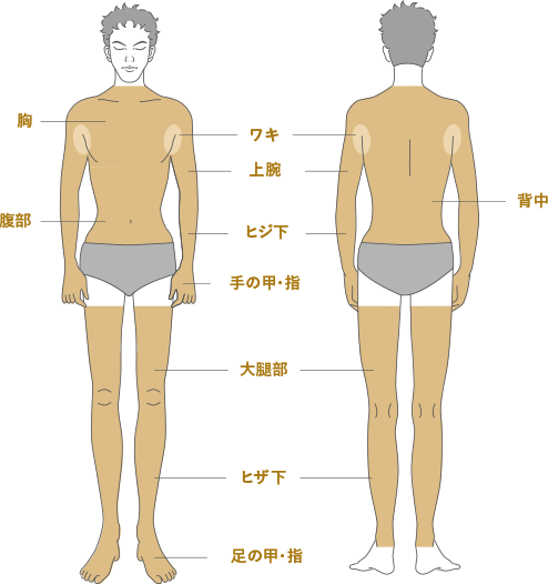 メンズTBCの脱毛料金、予約方法、効果、口コミを紹介｜ヒゲ脱毛はいくらかかる？ | エピステ