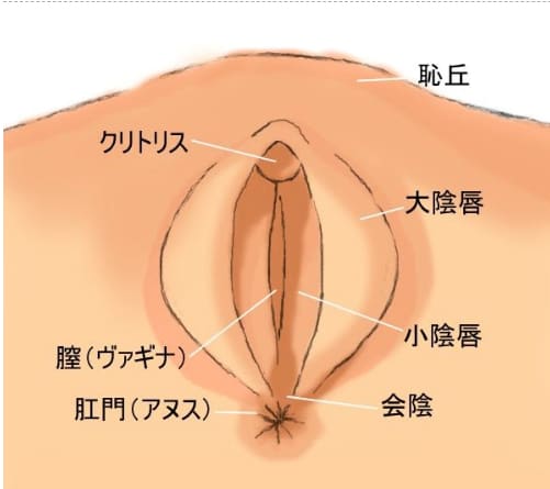 クンニは最高の愛情表現！マンコ舐め舐め画像まとめｗ