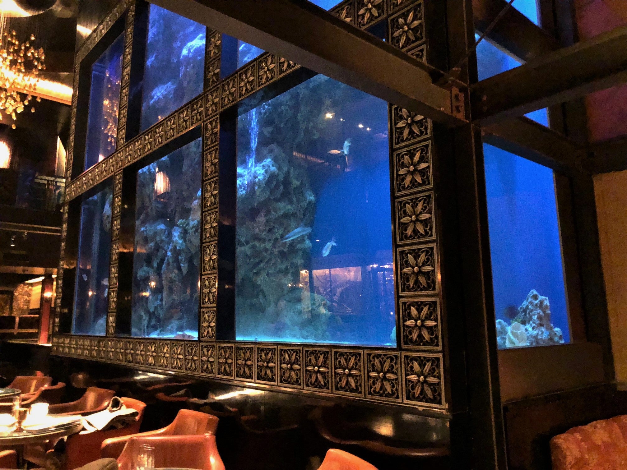 LUXIS（ラグシス）恵比寿 AQUA RESTAURANT ＆ BAR（恵比寿/イタリアン（イタリア料理））