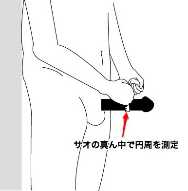 ペニス増大について｜勃起のメカニズム｜サイズアップ｜お薬ラボ