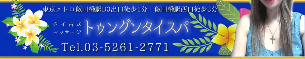 飯田橋のマッサージ店おすすめ20選！肩こり・腰痛の方必見！ 【骨FIX】整骨院・整体院ナビ