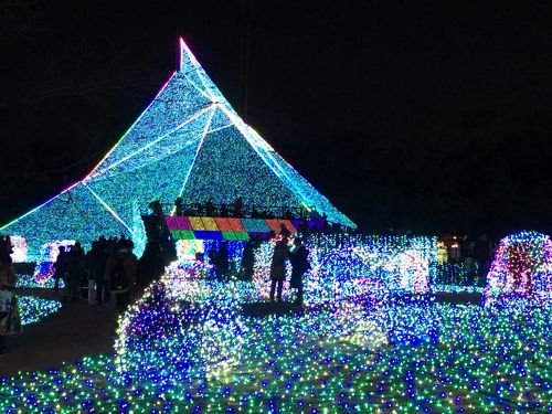 生きるために泳ぎ続けるマグロに会いに。葛西臨海水族園でしたい5つのこととは | RETRIP[リトリップ]