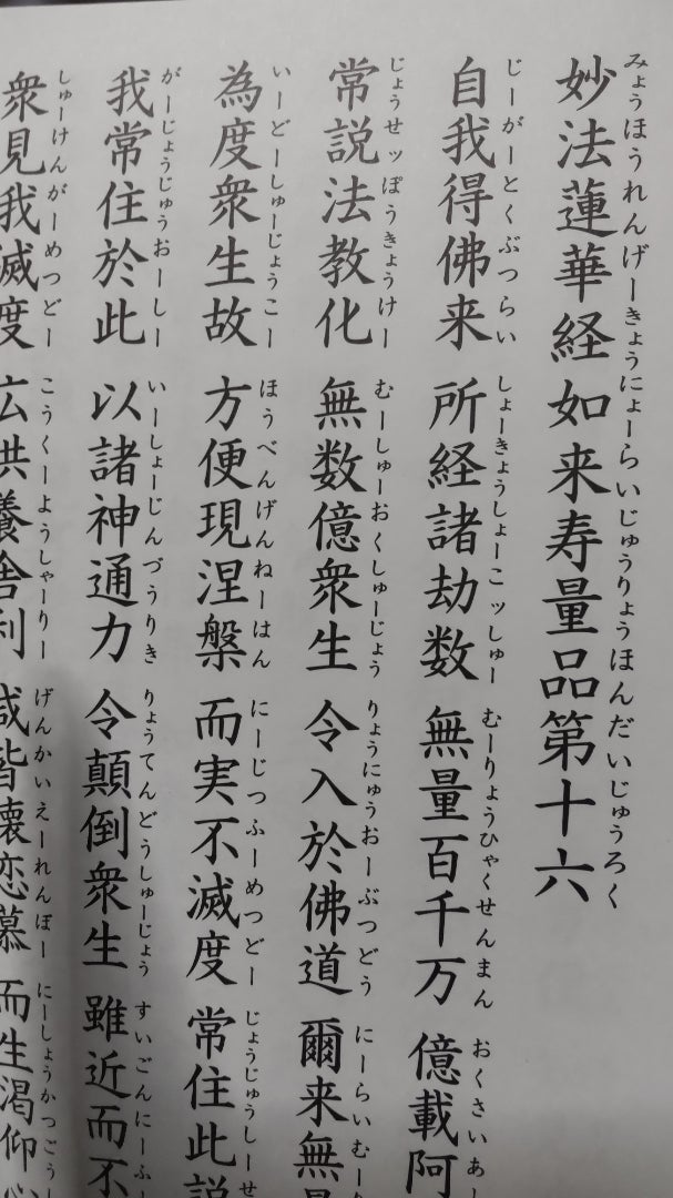 てくてくさいき散歩いわのりとゆうきとたまーにきどっちがおじゃましま～す 19.高平キャンプ場（蒲江） -