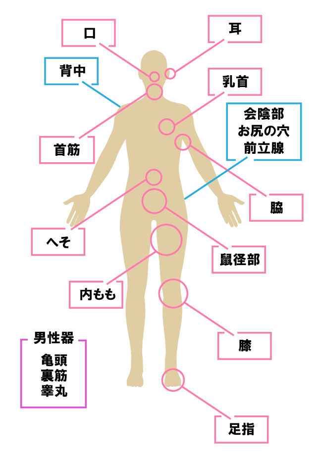 性感帯とは？女性の感じやすい場所や開発法 - 夜の保健室