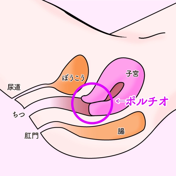 ゴシップガールコーデが大量にできそうで感動して共有したくなったので作ってみたよ:)  今冬の品揃えがゴシップガールとかジェニっぽくてたくさん買いました:0