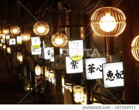 飛田新地/Tobita Shinchi:Japanese traditional Red-light district