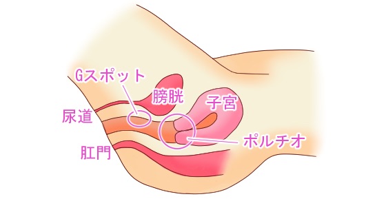 マンコの極上性感帯