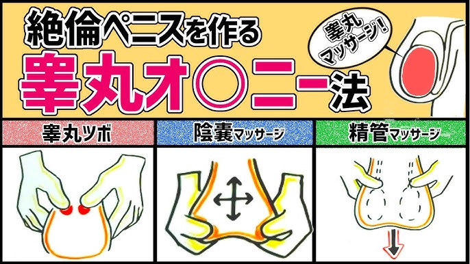 男性の二つのタマの裏側の筋はなぜある？ 「文春」元副社長が書いた丸ごと1冊「タマ」の本 | インタビュー |