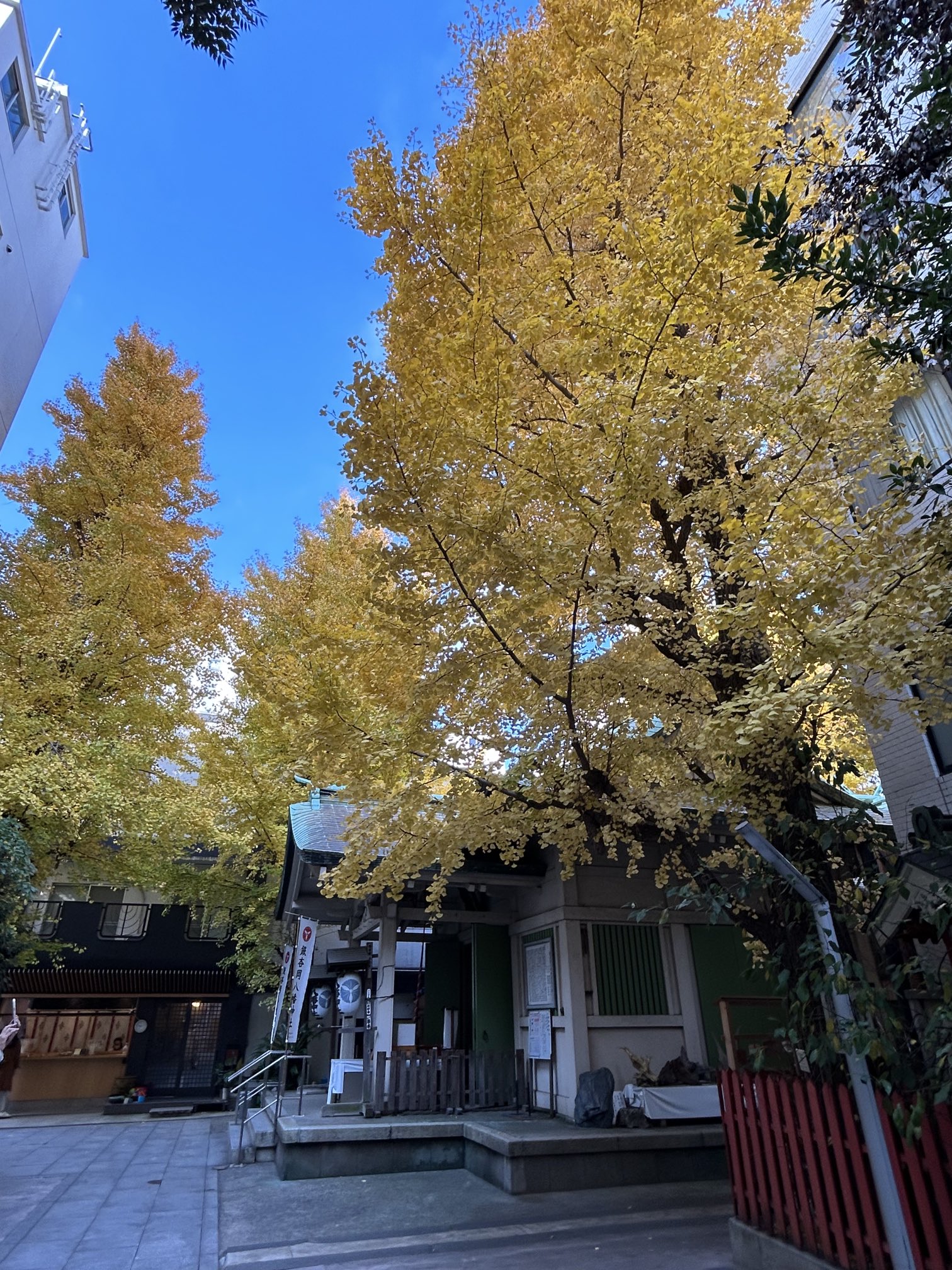 スターバックスコーヒー 浅草雷門通り店（浅草/カフェ） -