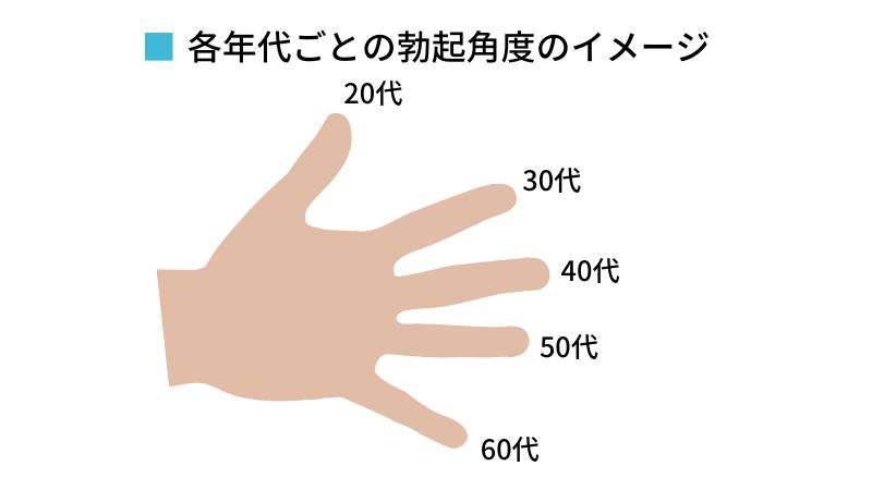 あの『ペニスの形』には意味があるの？ちんこの亀頭があの形の理由【ラブコスメ】