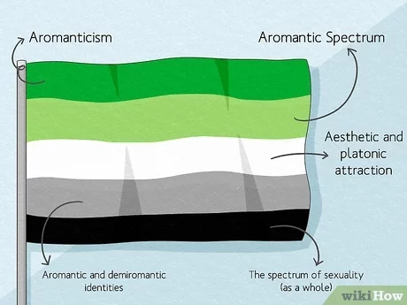 What is the Aromantic