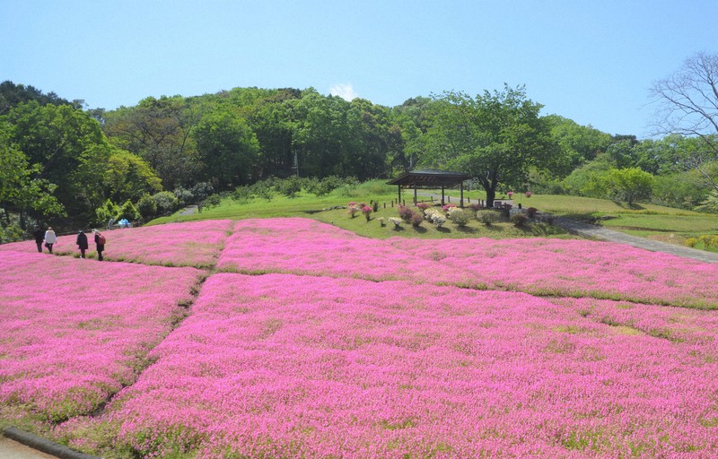 ASCII.jp：延岡城跡の夜桜と石垣が織りなす幻想的なライトアップ！ 「ワイワイ花宵物語」3月18日～4月9日開催