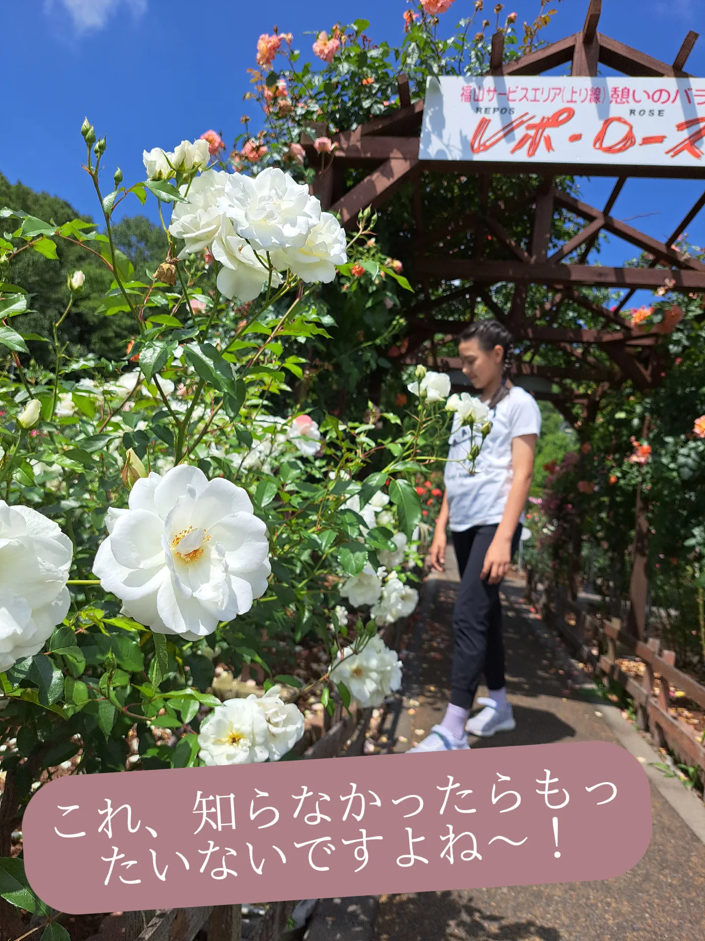 福山雅治 - 今年で創業90周年を迎えたニッカウヰスキーさんの国内スペシャルアンバサダーに就任させていただいております |